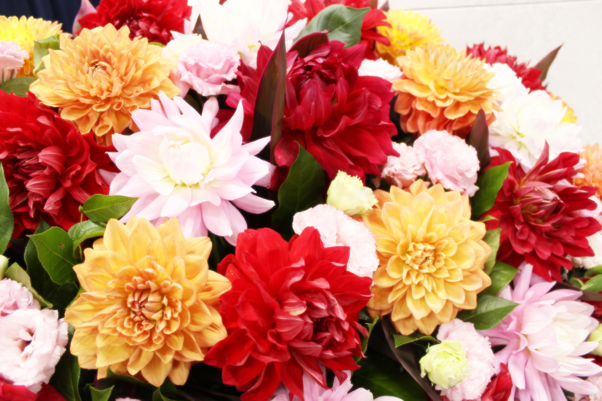 お花は直接造り手から