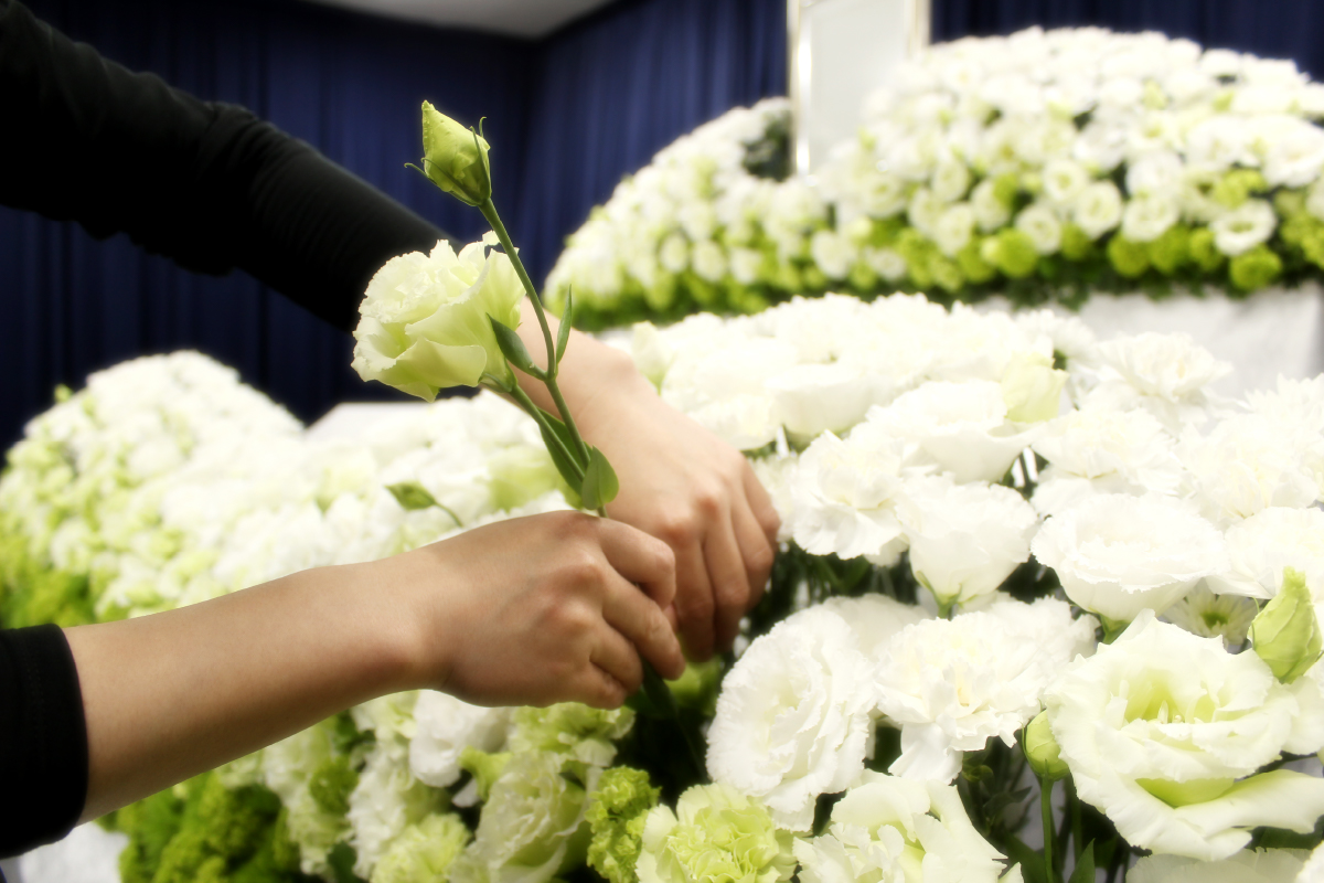 お花のプロが旬のお花を厳選